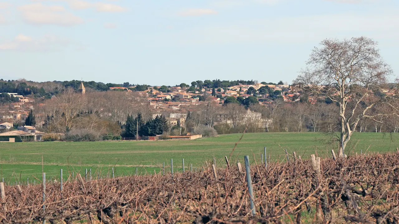 Pennautier (8)