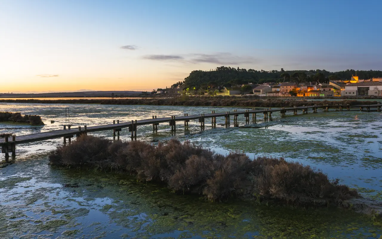 Peyriac-de-Mer, february 2018 (06)