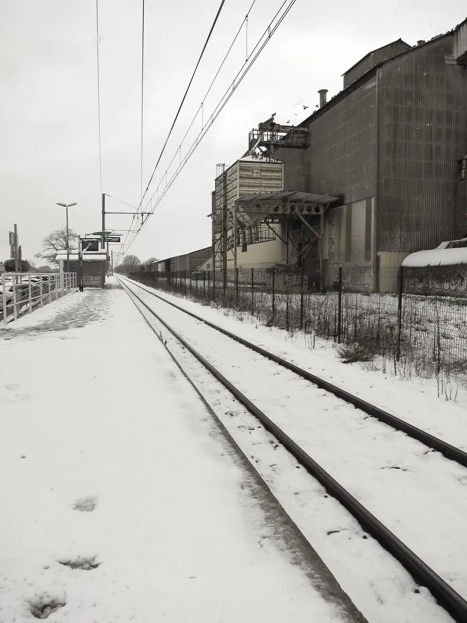 Pins-Justaret - Gare de Pins-Justaret - 20150203 (1)