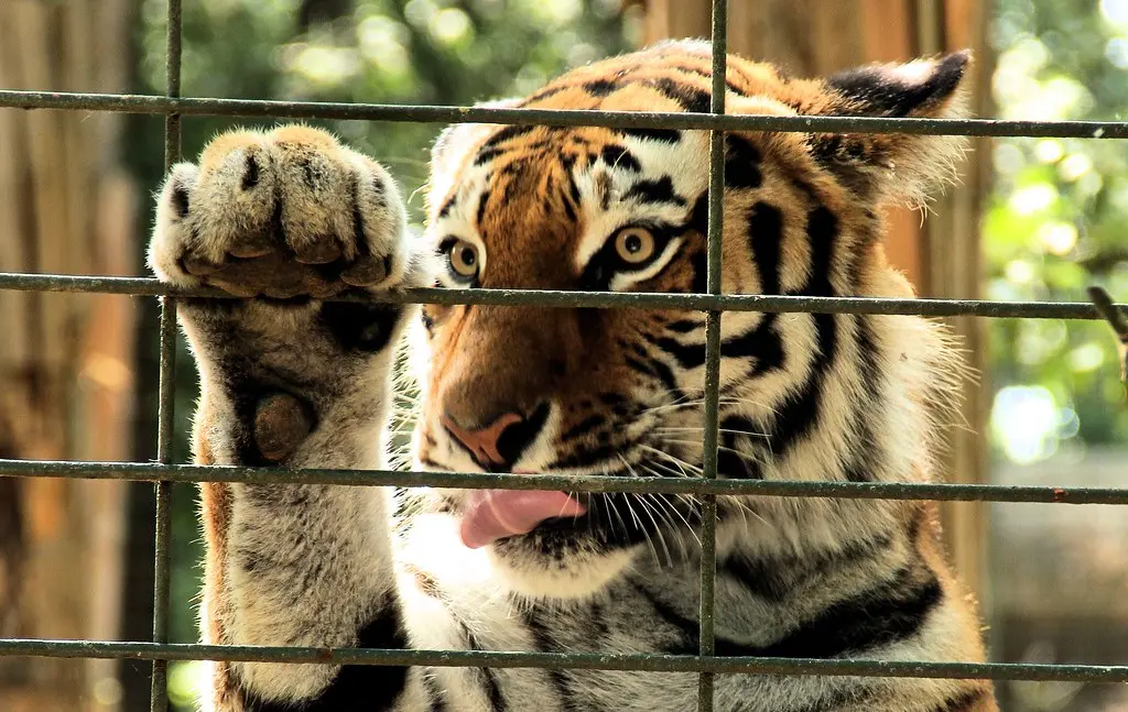 Zoo Plaisance du Touch