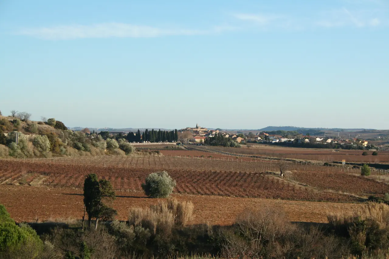 Puisserguier vue generale