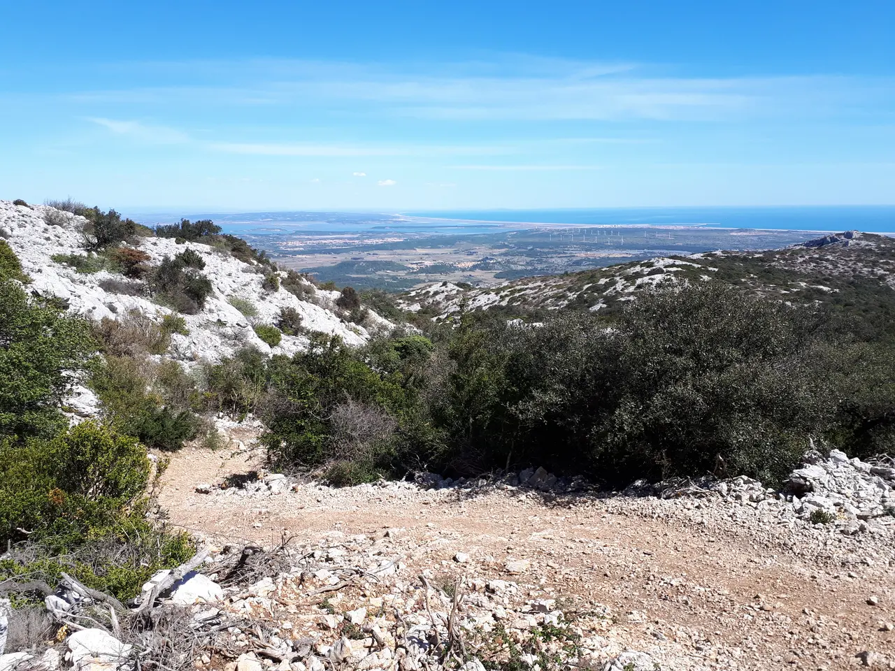 Garrigue Roquefort-des-Corbières