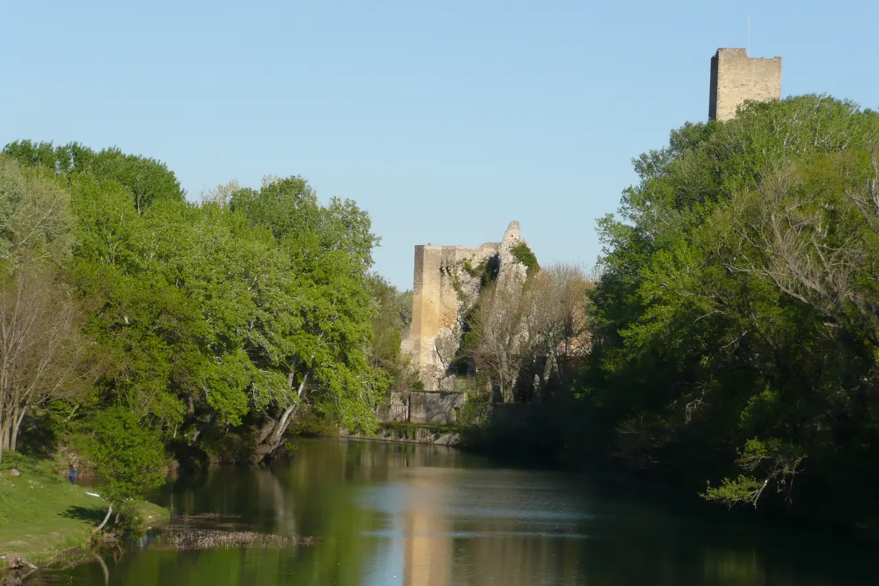 Tour et bras du Rhône à Roquemaure