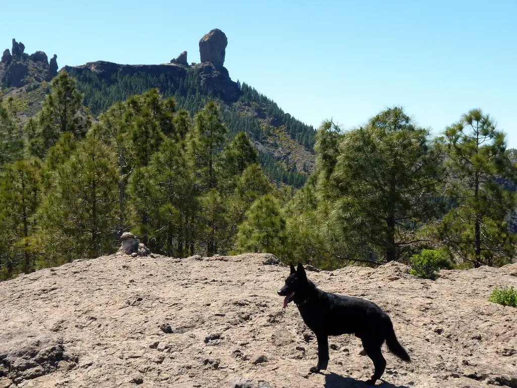 Gran Canaria - Roque Nublo & Boira