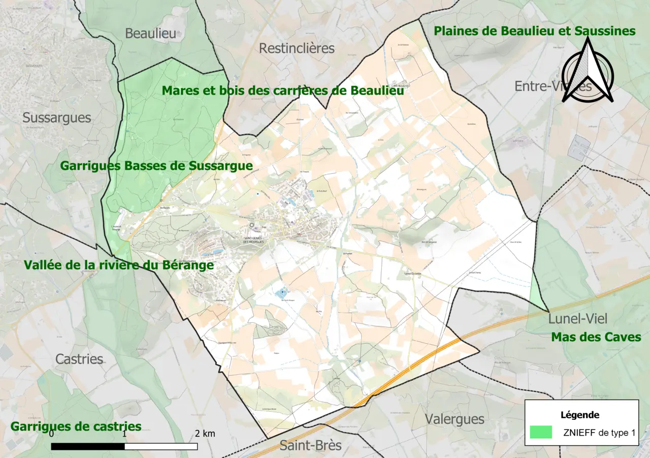 34256-Saint-Geniès-des-Mourgues-ZNIEFF1
