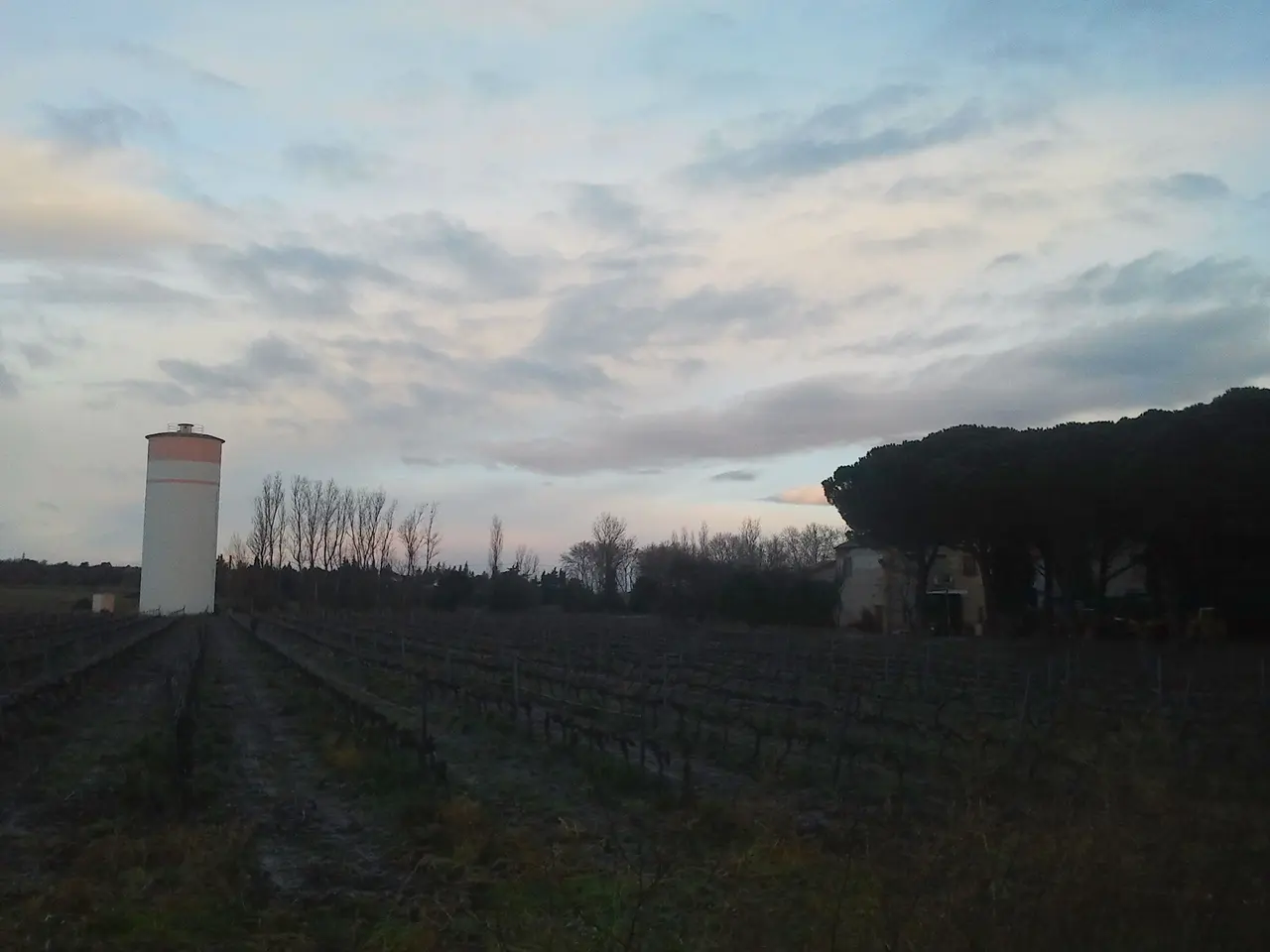 Saint-Jean-Lasseille- Vigne et château d'eau