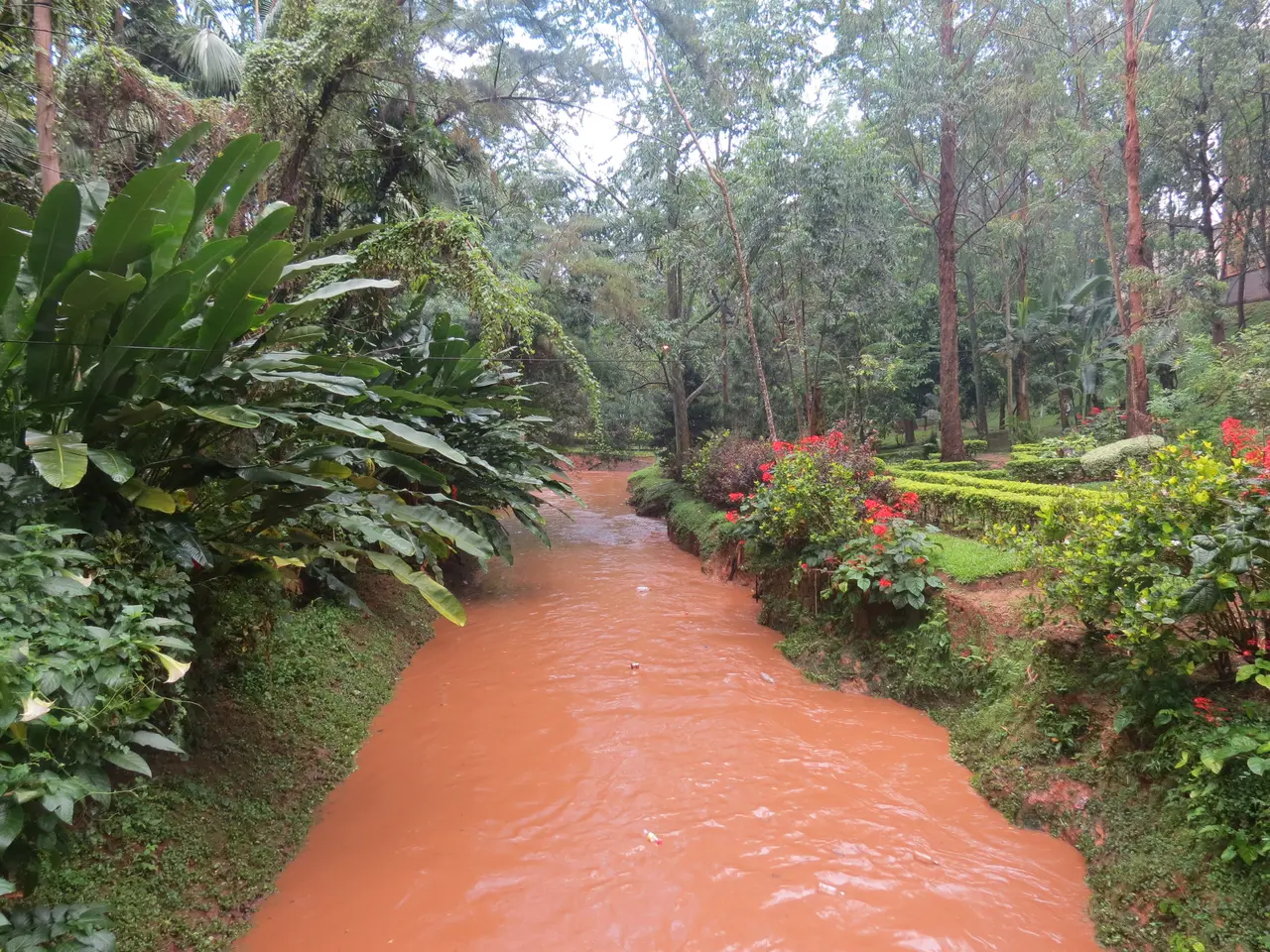 File:Bois Sainte Anastasie, Yaoundé.JPG