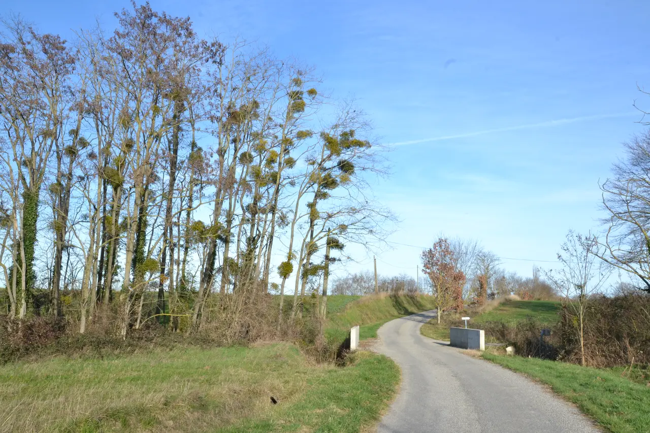 Ruisseau Fau, Verniolle