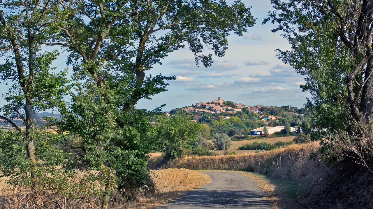 Villasavary 1