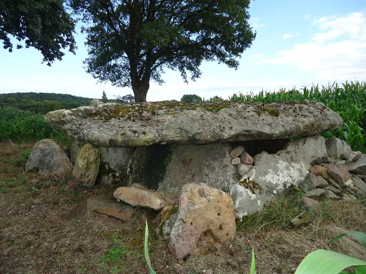 Aubigné-Racan - Allée couverte du Colombier