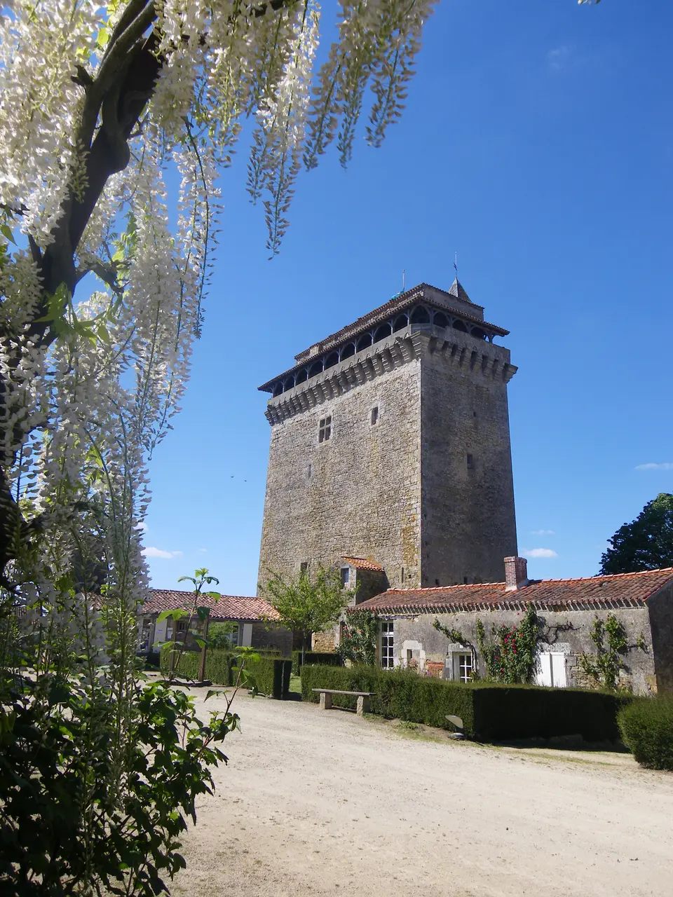 Donjon de Bazoges en Pareds