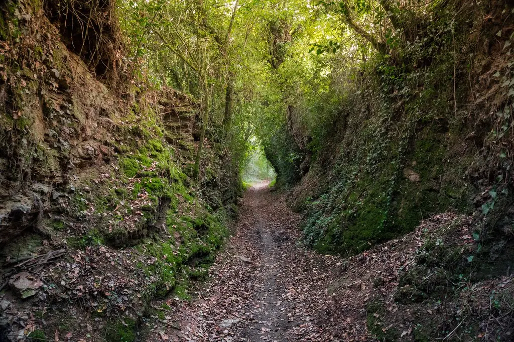 Chemin creux près de Bégrolles-en-Mauges (7)