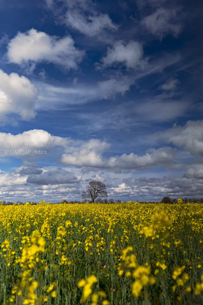 Impressive sky