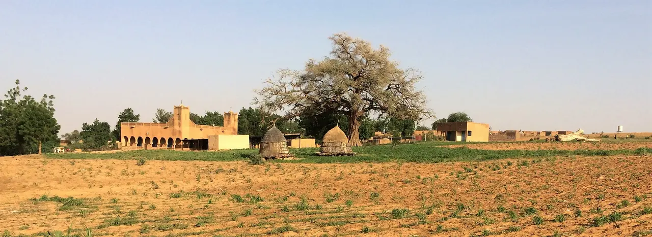 Niger, Sarando Béné (1)