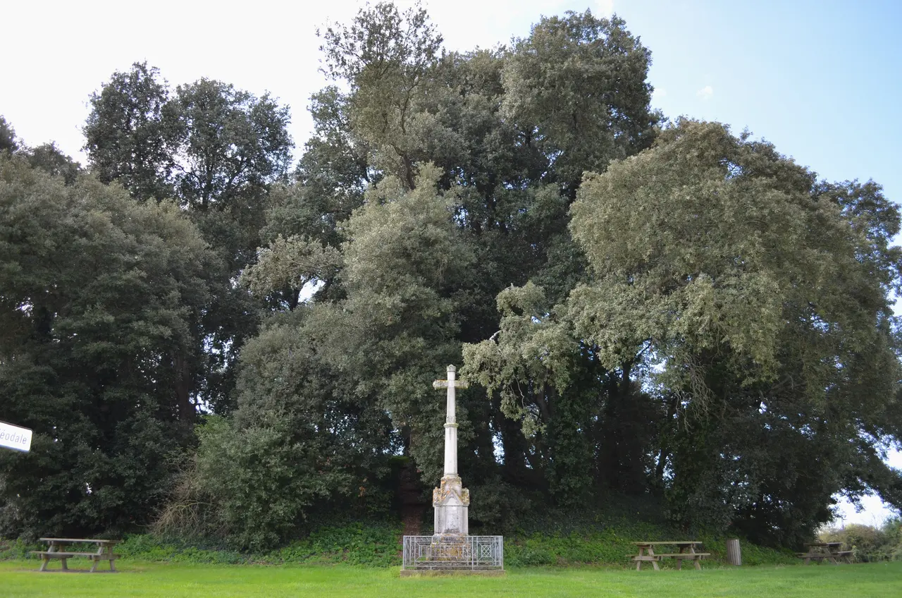Motte castrale (ou féodale) - Bois de Céné (Vendée)