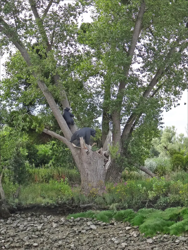 The Settlers (Estuaire, Bouguenais, Port Lavigne)