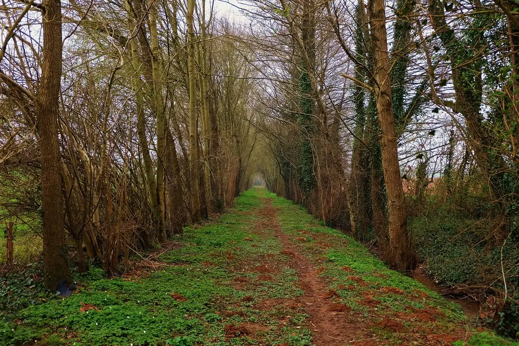 Bournezeau, sentier
