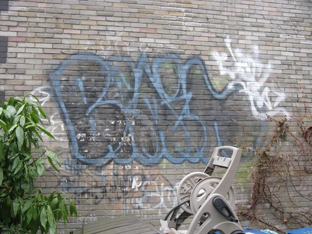 Brain