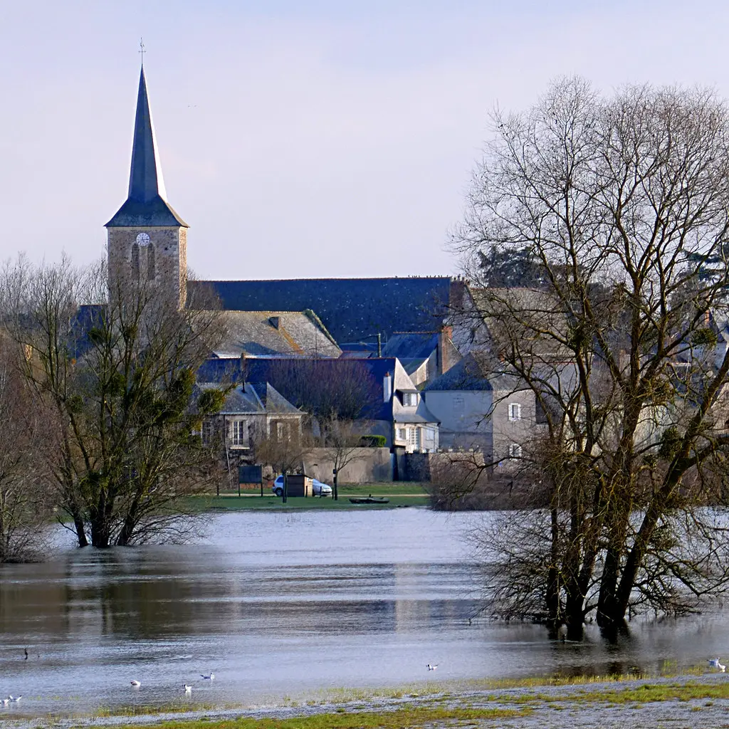 La Sarthe en Crue à Briollay