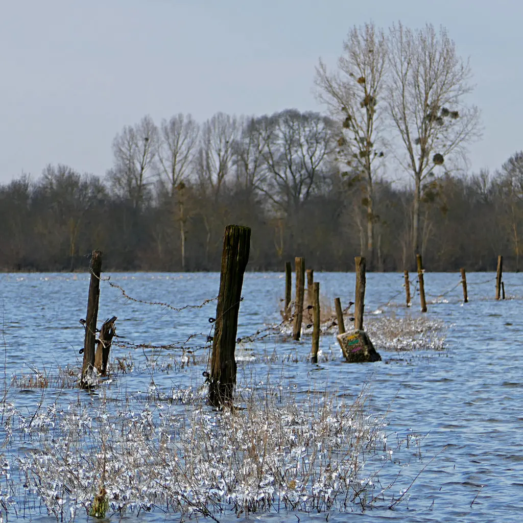 Briollay, Maine-et-Loire
