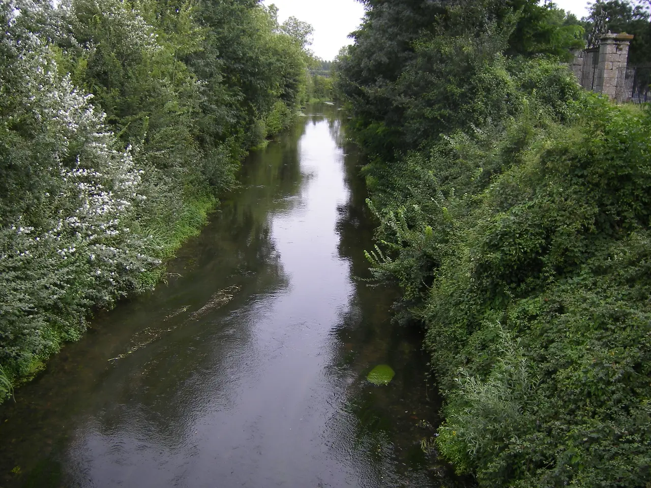 File:Le Cosson à Candé-sur-Beuvron - 00.jpg