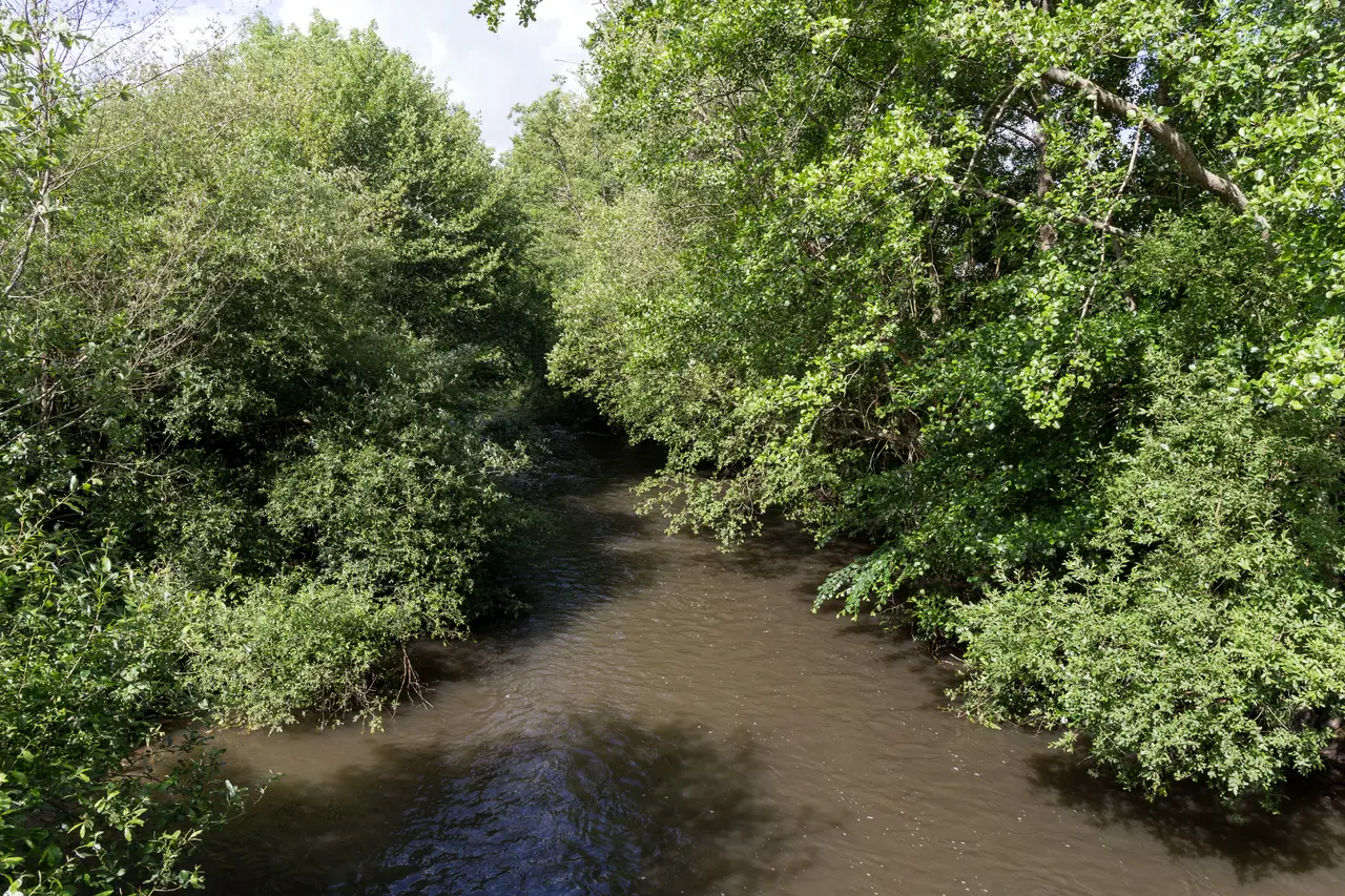 Saint-Jean-sur-Mayenne - Ernée 20190608-02