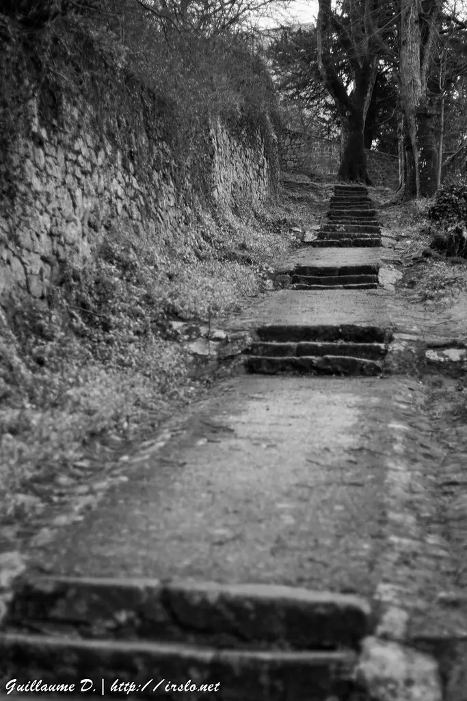 2018-01-07_StChristophe_EvrunesMortagneSurSevre (47 sur 73)