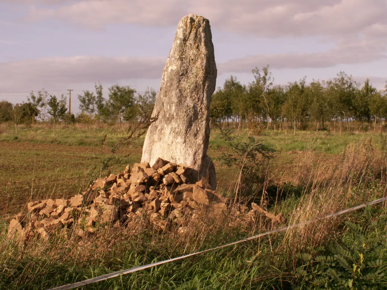 44 FROSSAY Menhir des pins face Sud Est