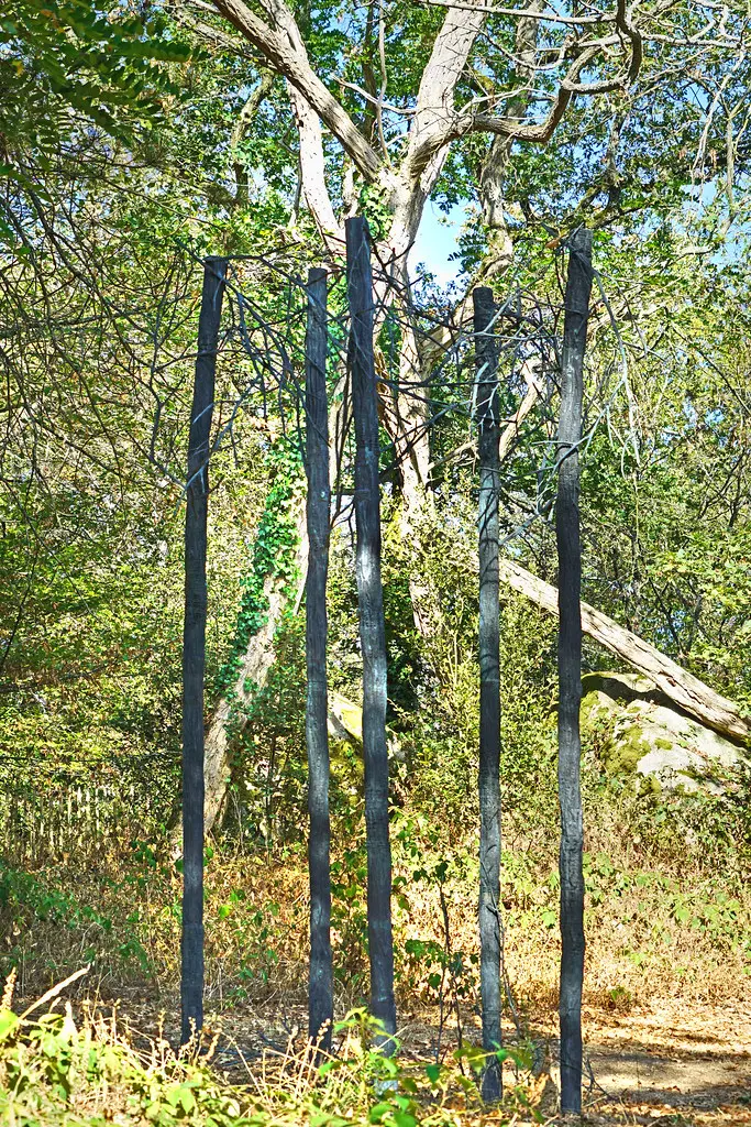 'Bois de la Gorgone' d'Éva Jospin (Gétigné / Clisson)