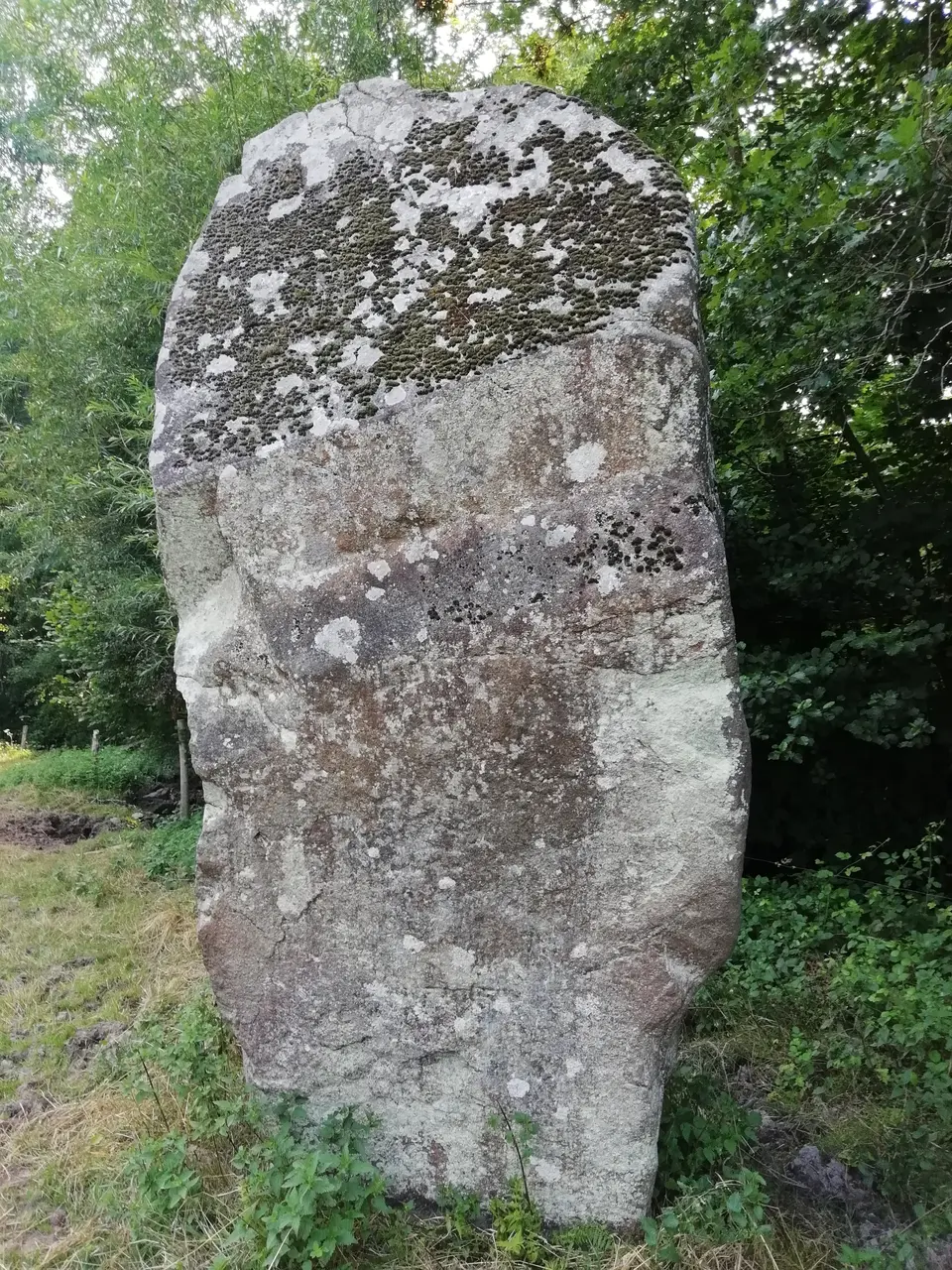Menhir de la Roche Gorron 07