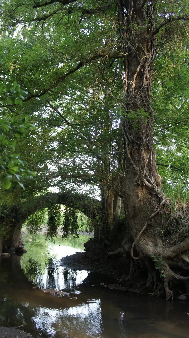 Pont Guécélard Gué Buffard