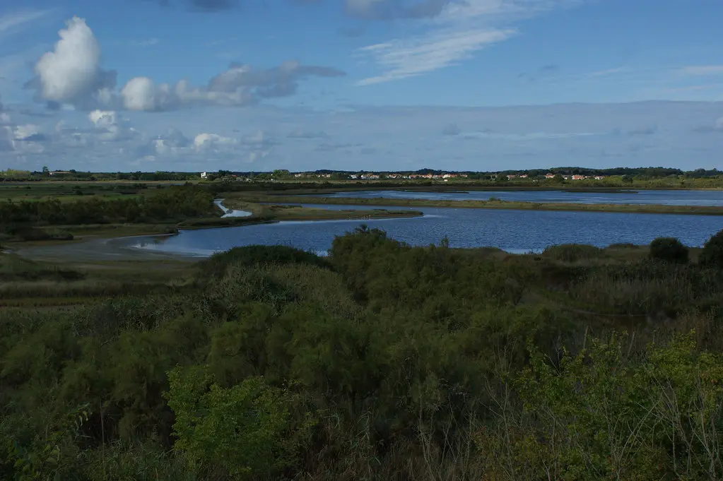 L'Île d'Olonne, l'Observatoire aux Oiseaux