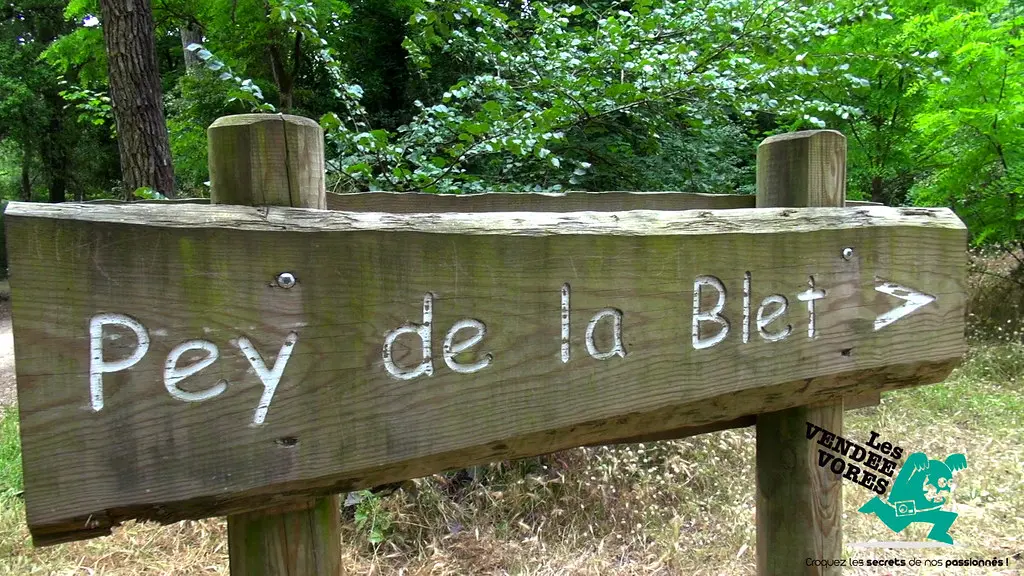 Fromentine / La Barre de Monts en famille