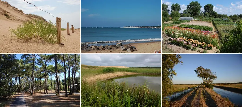 Les richesses naturelles de La Tranche sur Mer, façade maritime du Marais Poitevin ...