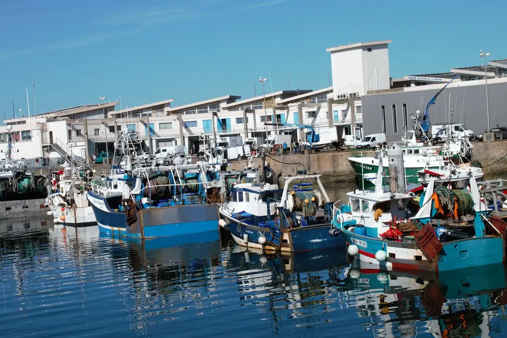port et Criée, la Turballe