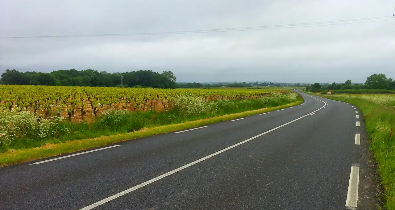 File:Vignoble du Muscadet, vers Le Pallet - panoramio.jpg