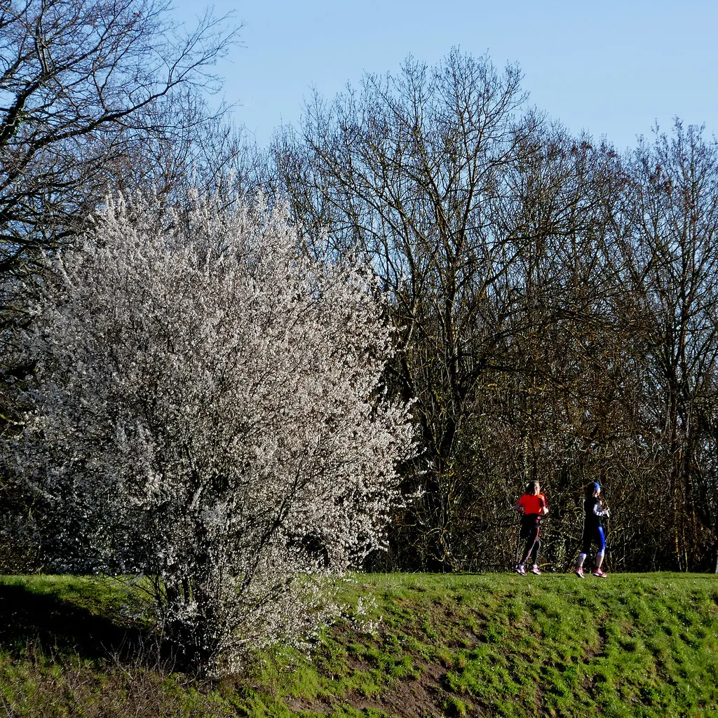 Levée de l'Authion, les Ponts-de-Cé
