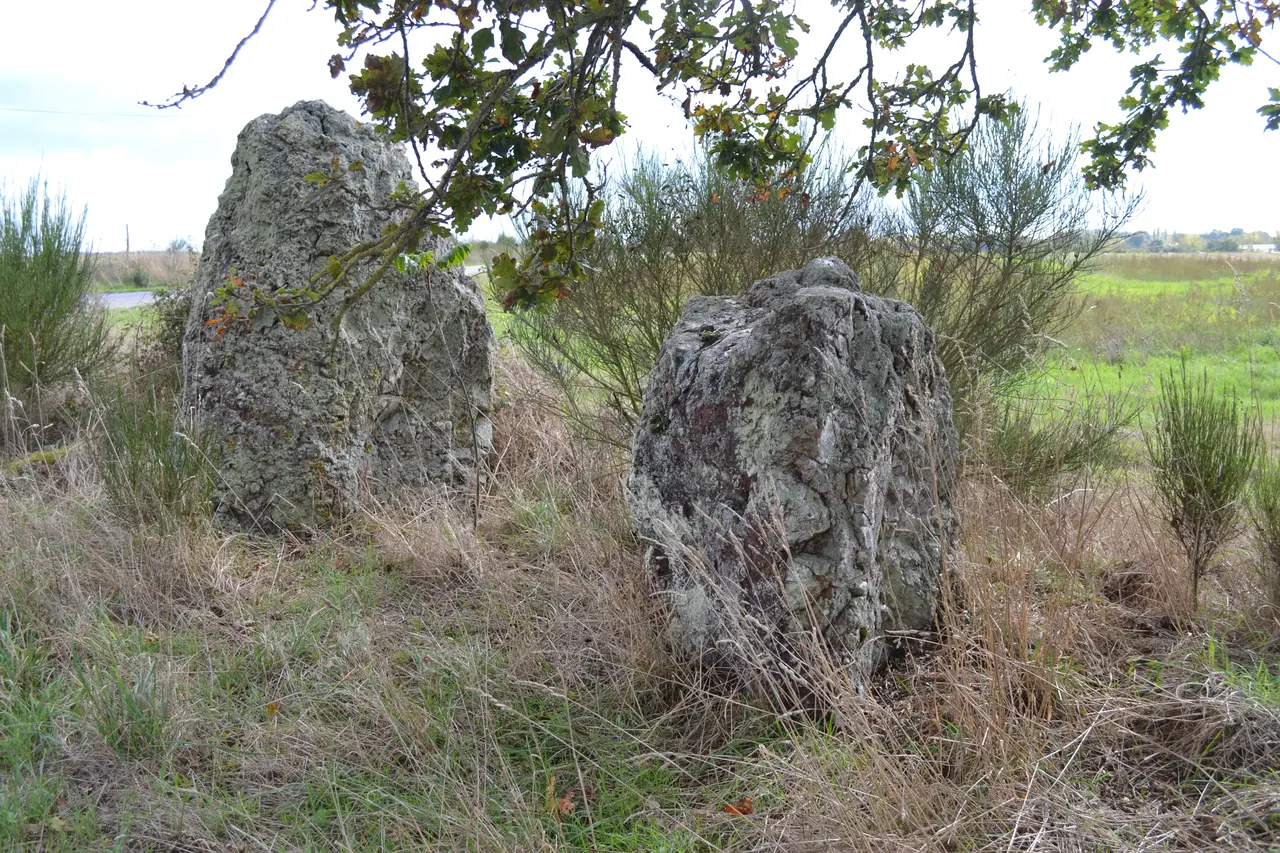 Lusanger orme-haut 02