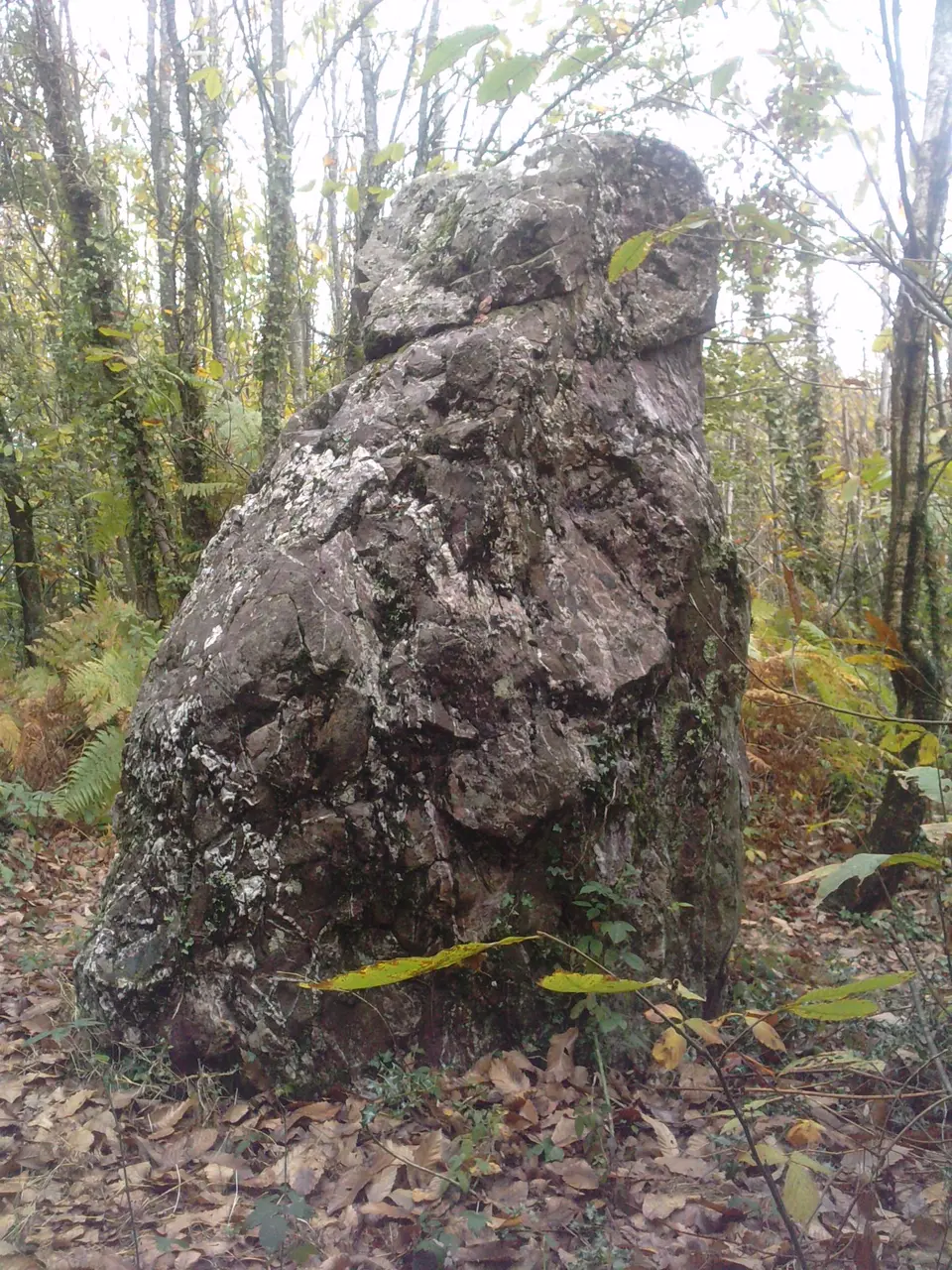 File:44 LUSANGER Menhir du Hochu 5.JPG