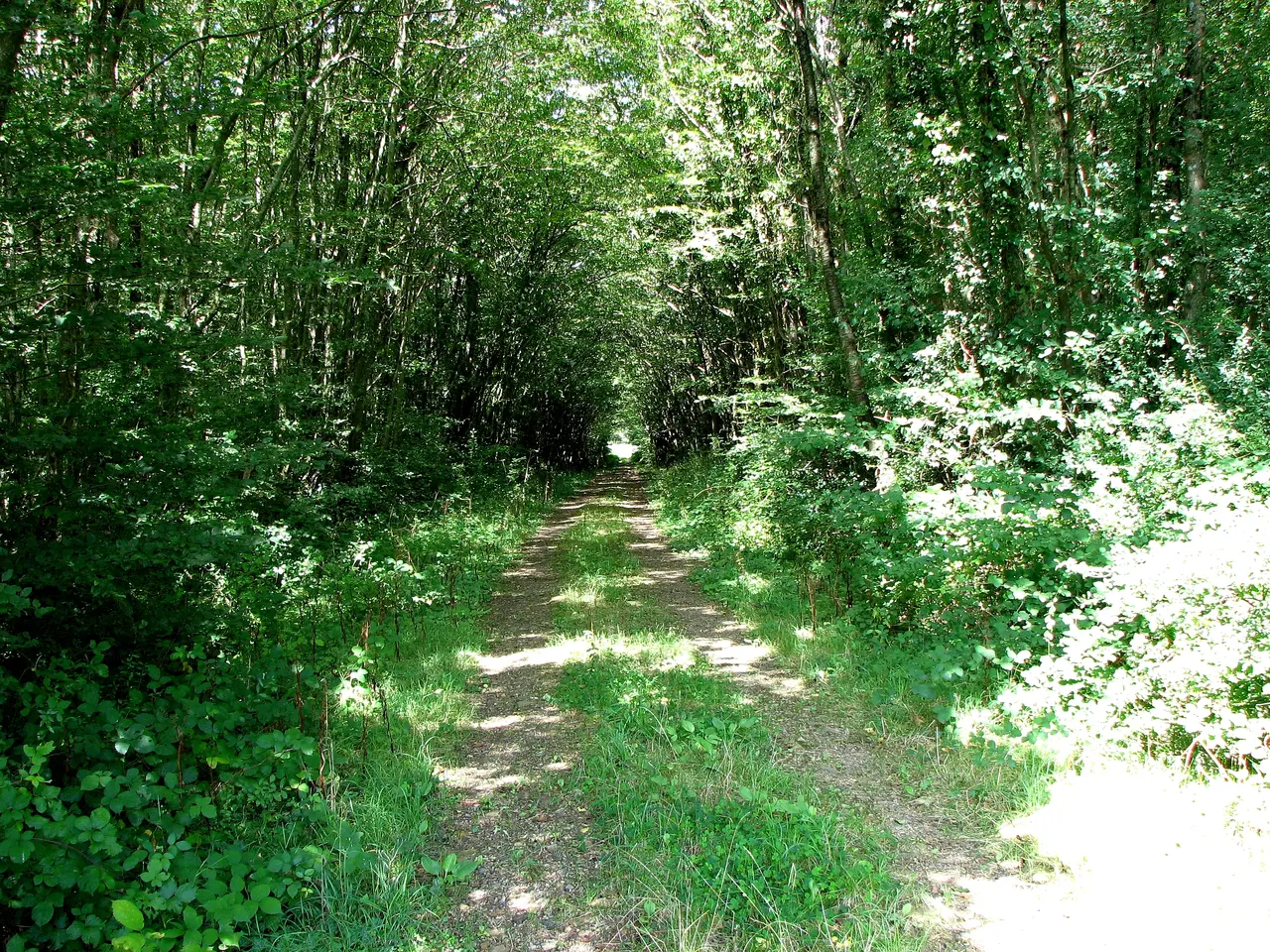 44690 Maisdon-sur-Sèvre, France - panoramio
