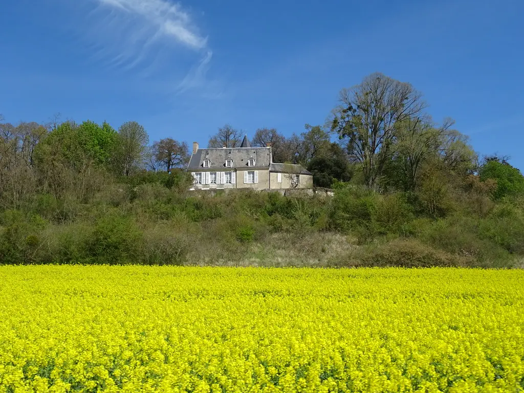 Champ de colza et belle demeure, entre Beaumont-sur-Dême et Marçon, Sarthe