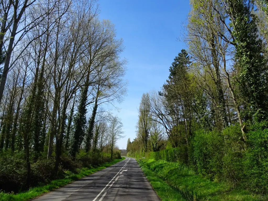 Sur la route entre Marçon et le Port Gauthier, Sarthe