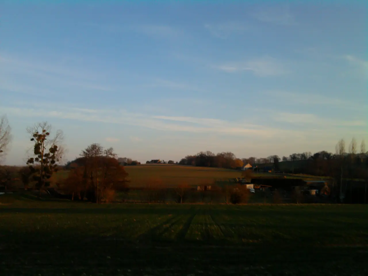 Champs à Marigné-laillé - panoramio