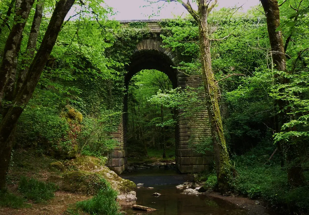 Foret de Mervent Vouvant, pont du déluge