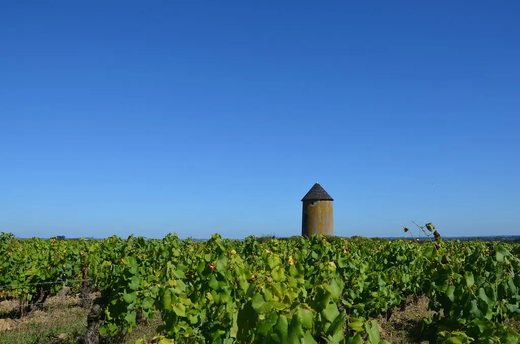 Vignoble du Muscadet, Monnières
