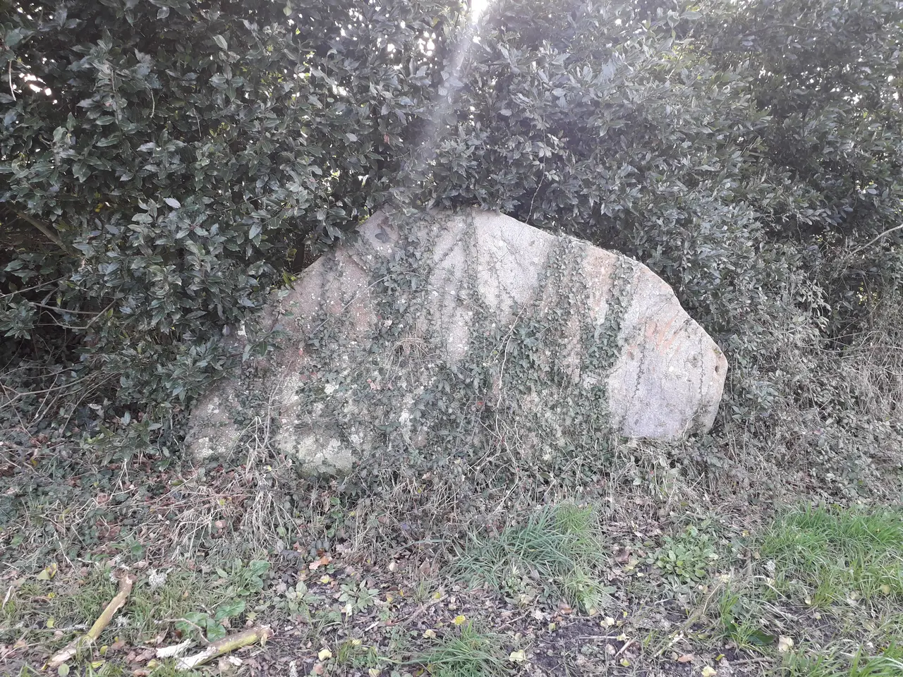 Photo du menhir du Pré-Doux à notre dame de riez (vendée 85270)