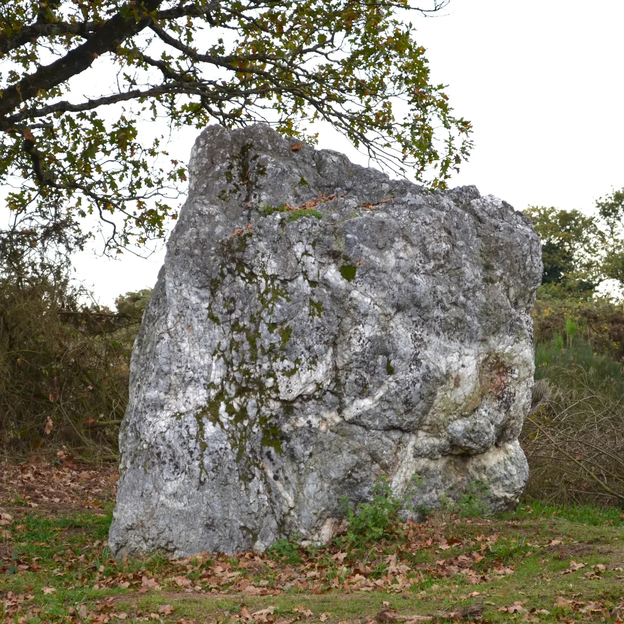 Nozay - Menhir Couëbrac (1)