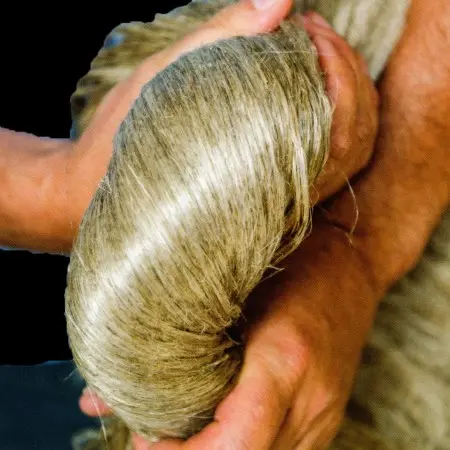 Lin teillé (= fibres longues) extrait des pailles.