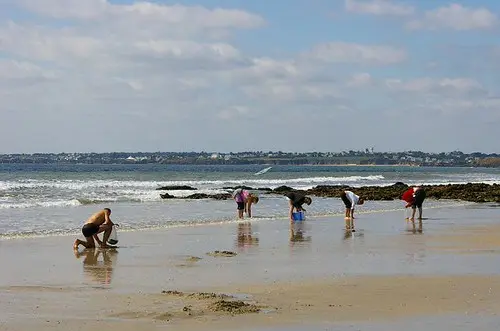 Les vacances de Monsieur Toutlemonde