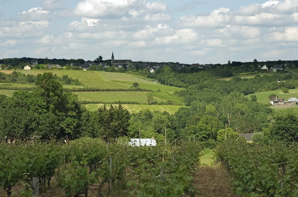Val-du-Layon (Maine-et-Loire).
